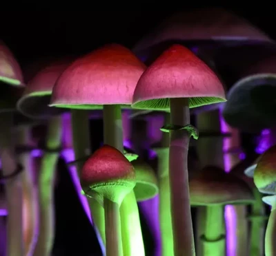 Psilocybin meditation - Voyage intérieur introspectif