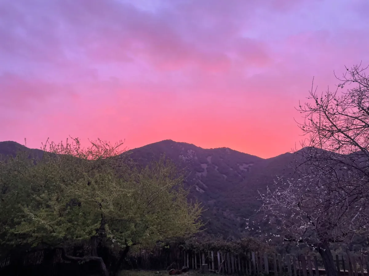 Lieu de retraite Connecta Life, IMG-20260329-WA0020_anon